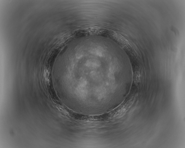 X0000112771010200908201502