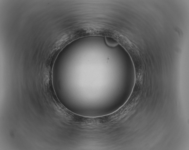 X0000112771012200908201502