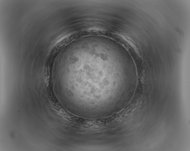 X0000112771015200908201502