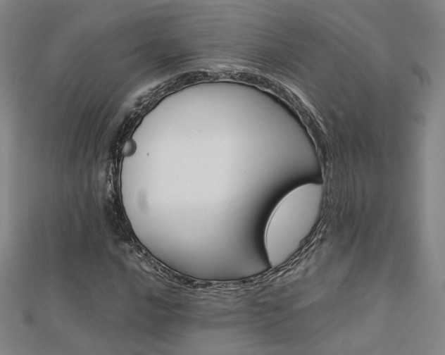 X0000112771016200908201502