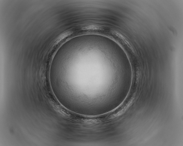 X0000112771017200908201502