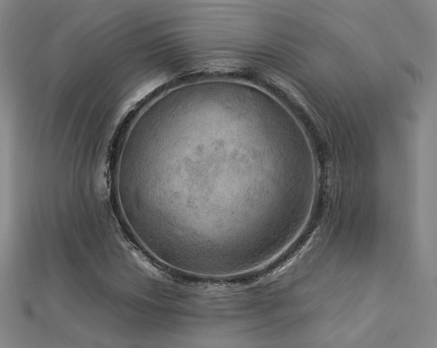 X0000112771018200908201502