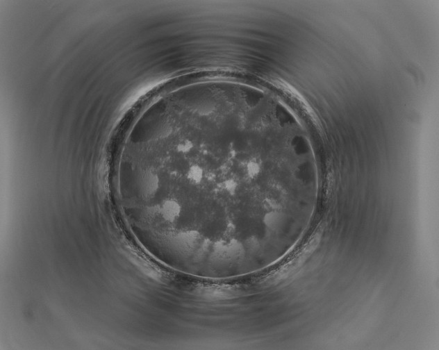 X0000112771019200908201502