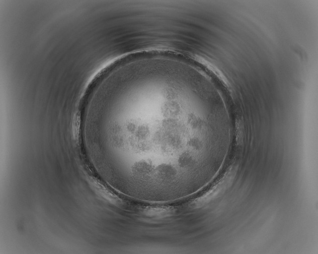 X0000112771021200908201502