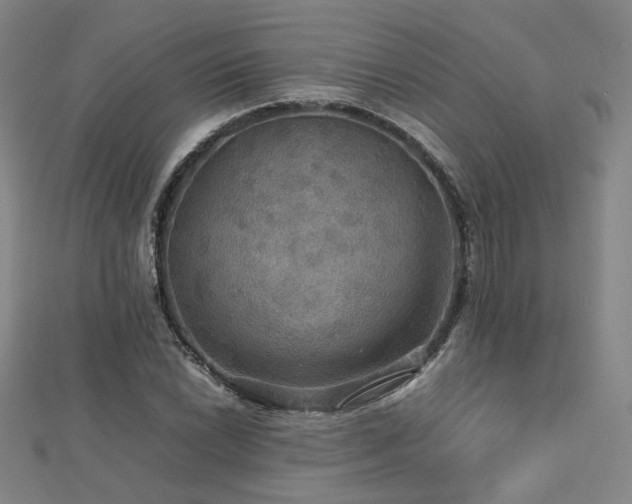 X0000112771022200908201502