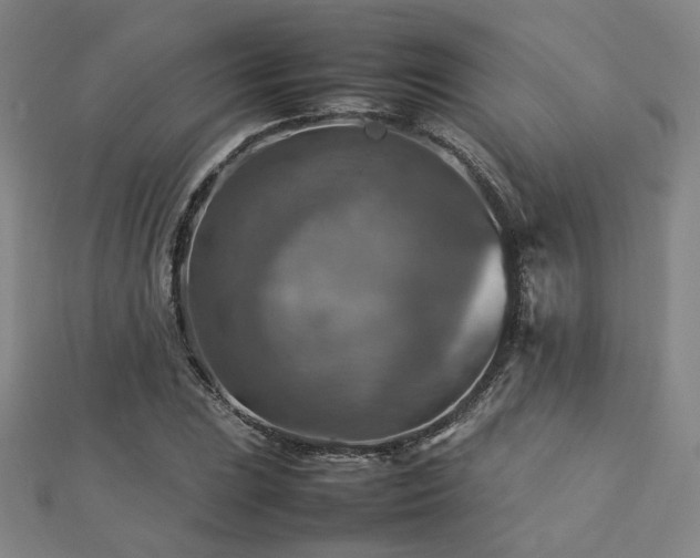 X0000112771023200908201502