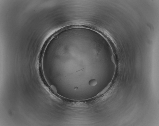 X0000112771024200908201502