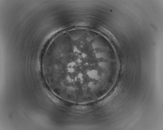 X0000112771027200908201502