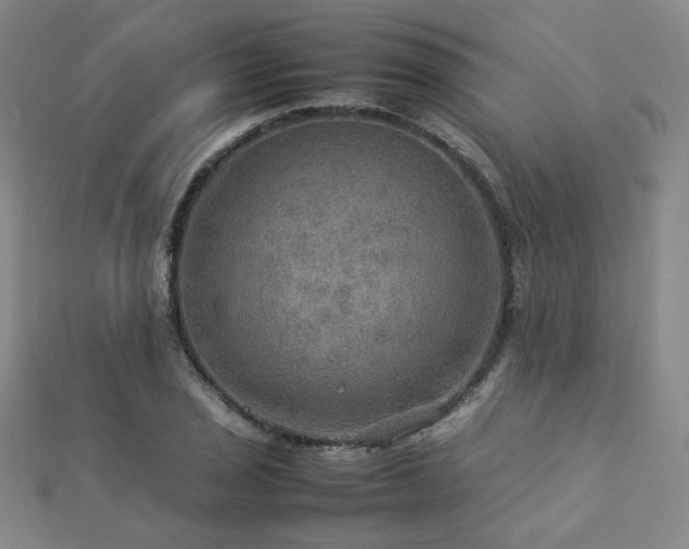 X0000112771029200908201502