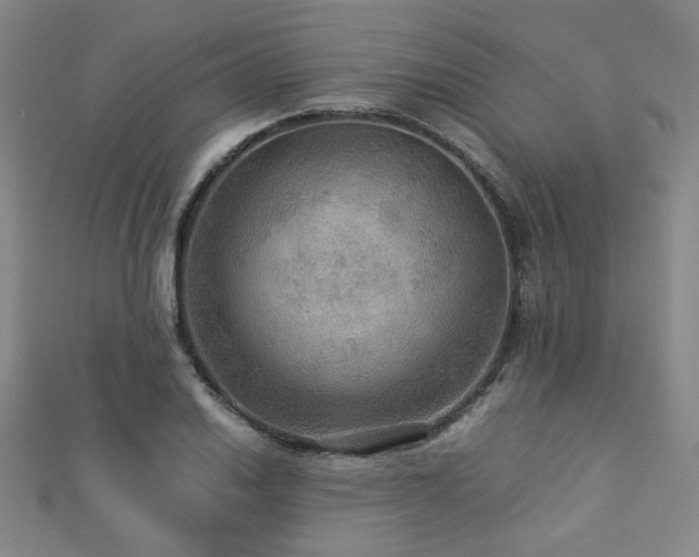 X0000112771030200908201502