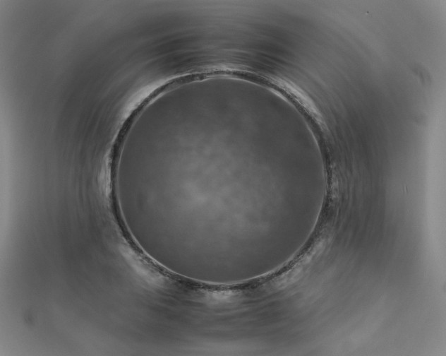 X0000112771031200908201502