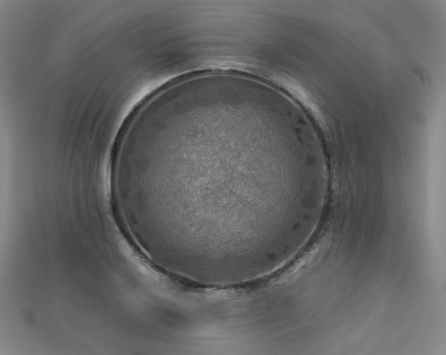 X0000112771032200908201502