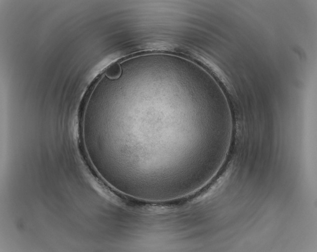 X0000112771034200908201502