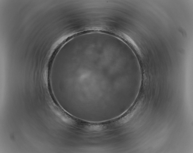 X0000112771035200908201502
