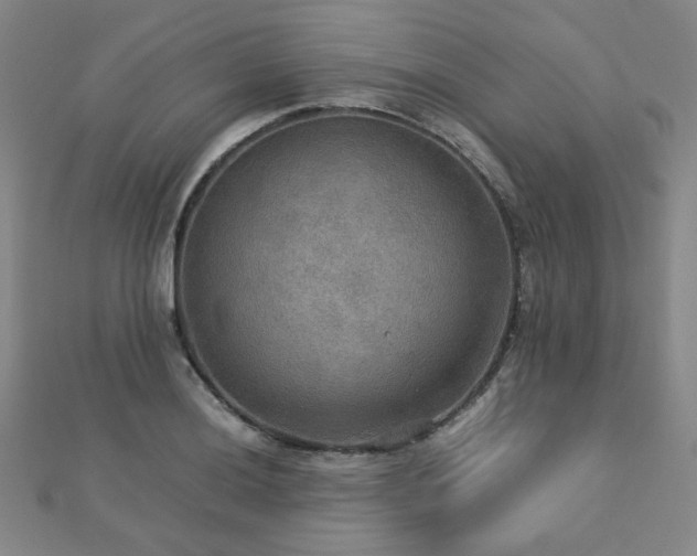 X0000112771036200908201502