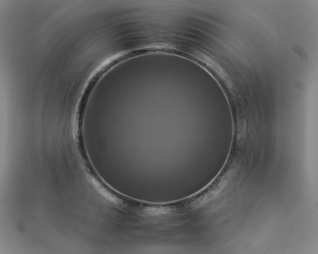 X0000112771037200908201502