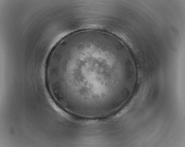 X0000112771038200908201502