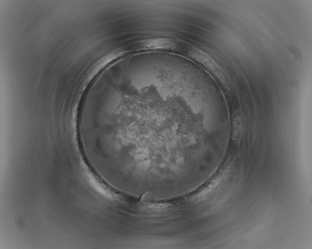 X0000112771039200908201503