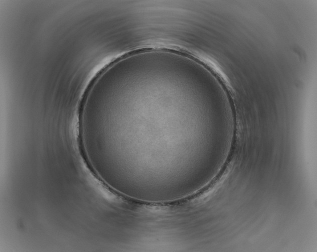 X0000112771040200908201503