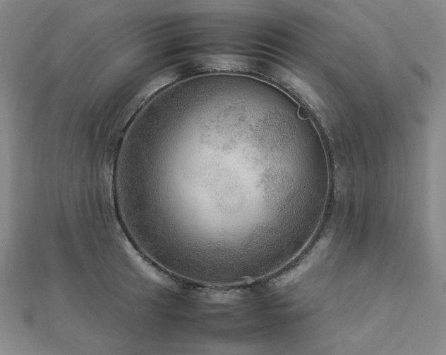 X0000112771041200908201503