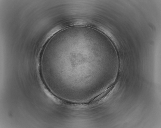 X0000112771042200908201503