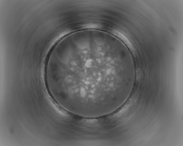 X0000112771043200908201503
