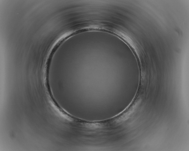 X0000112771045200908201503