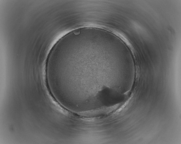 X0000112771048200908201503