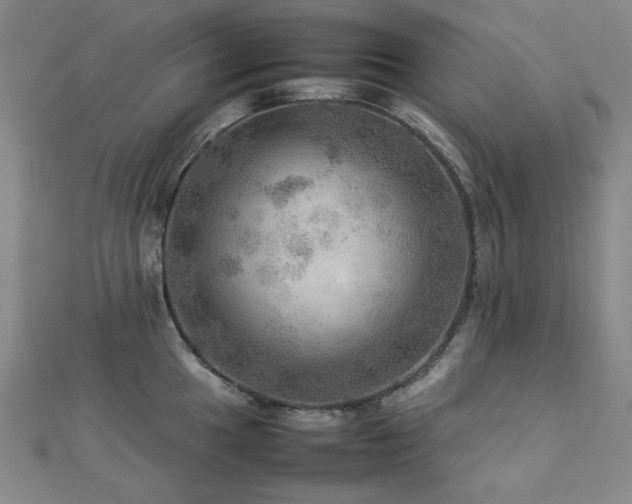 X0000112771049200908201503
