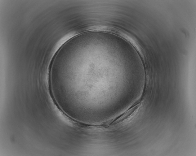 X0000112771050200908201503