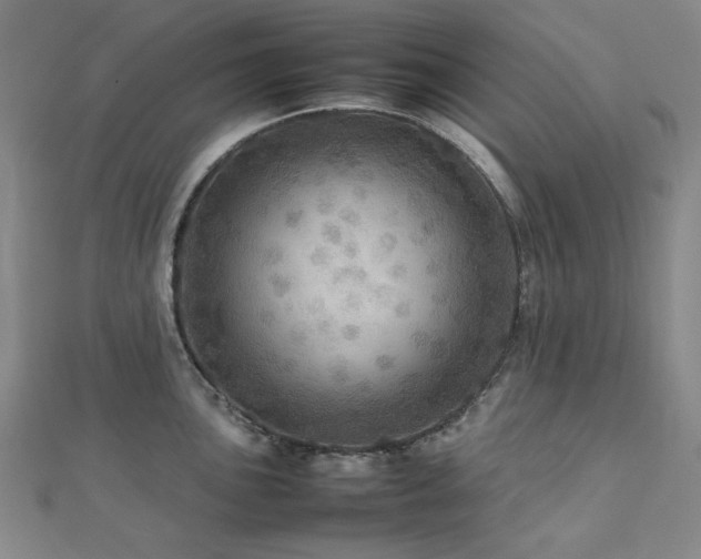 X0000112771051200908201503