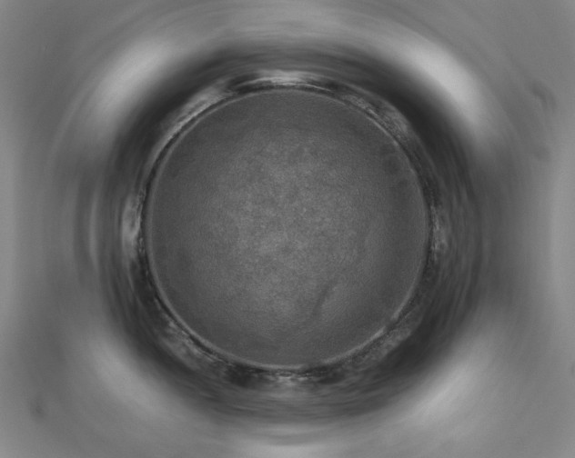 X0000112771052200908201503