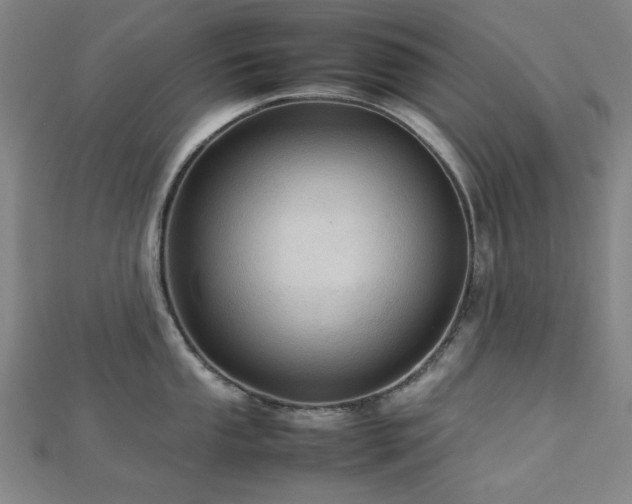 X0000112771053200908201503