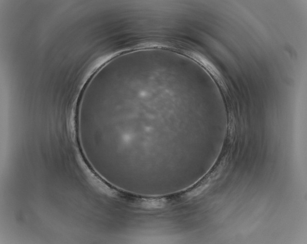 X0000112771055200908201503