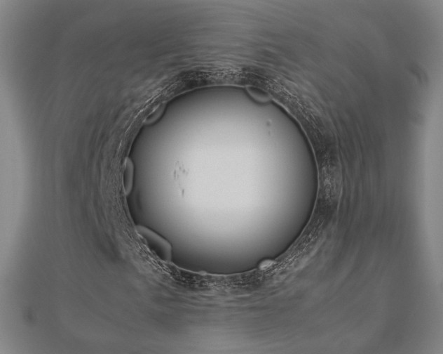 X0000112771057200908201502
