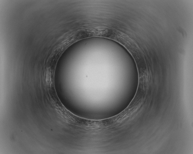 X0000112771058200908201502