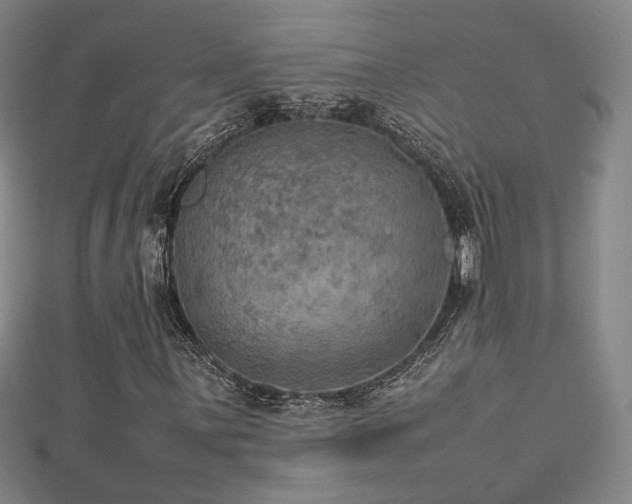 X0000112771059200908201502