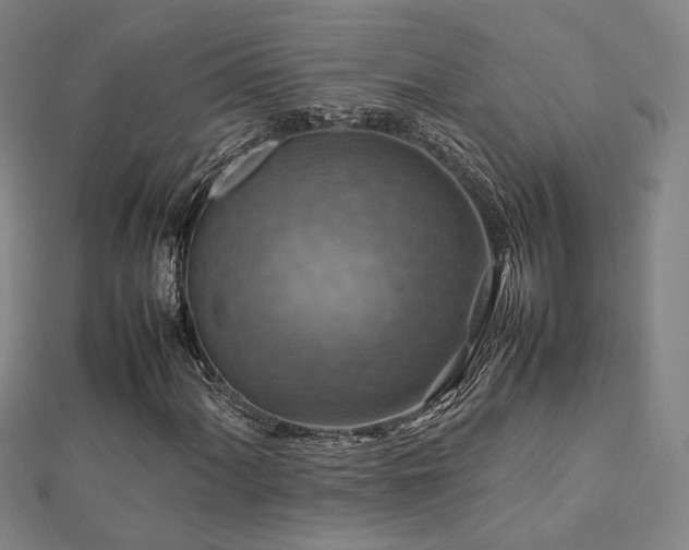 X0000112771060200908201502