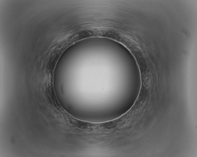 X0000112771061200908201502