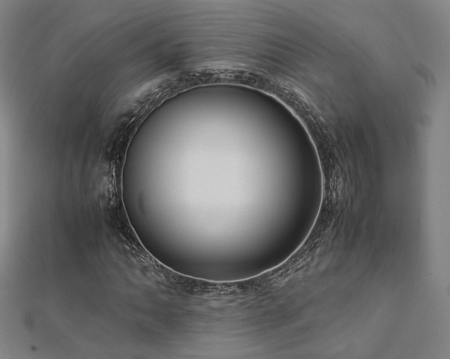 X0000112771062200908201502