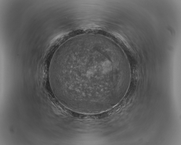 X0000112771063200908201502