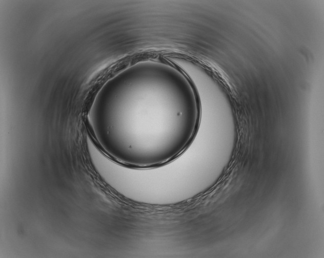 X0000112771064200908201502