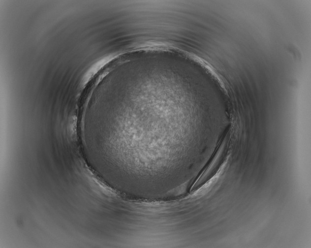 X0000112771066200908201502