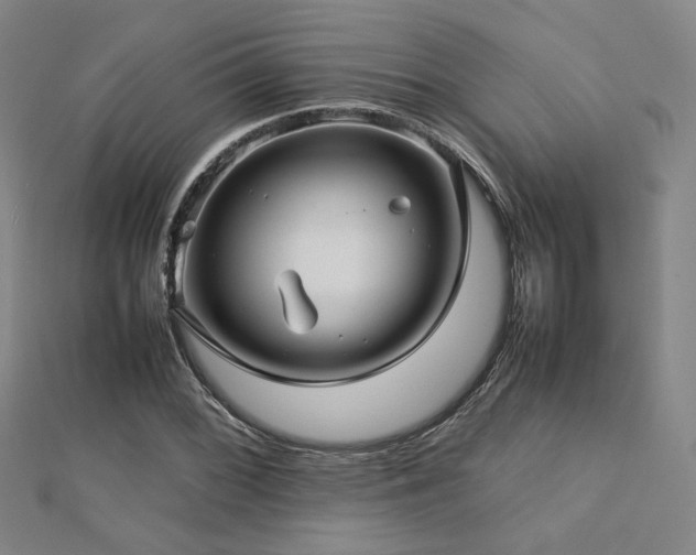 X0000112771068200908201502