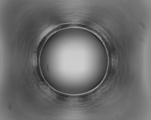 X0000112771069200908201502