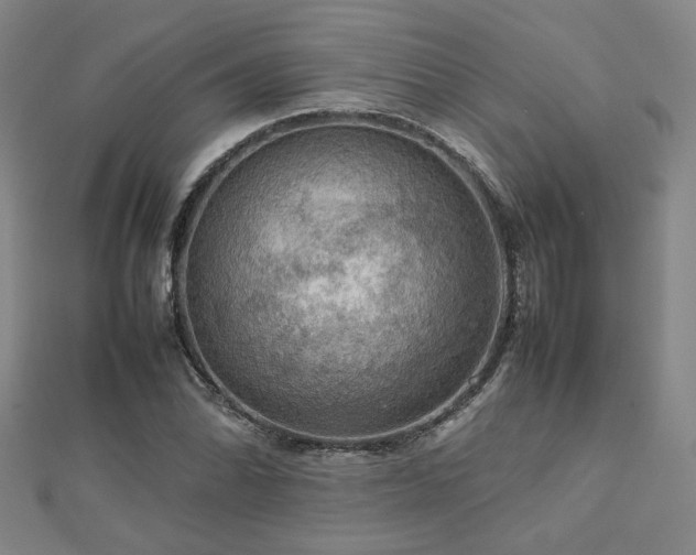 X0000112771070200908201502