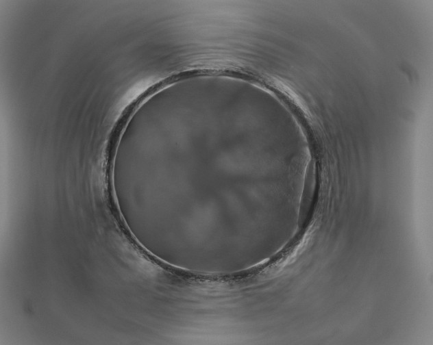 X0000112771071200908201502