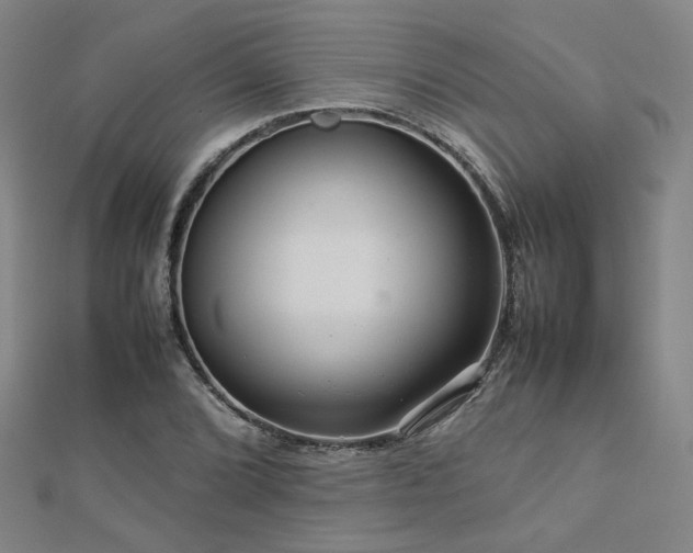 X0000112771072200908201502