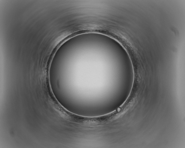 X0000112771073200908201502
