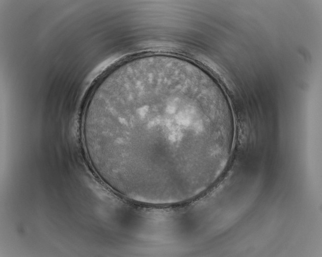 X0000112771074200908201502